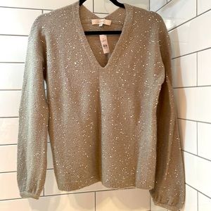 COPY - NWT, Loft champagne sparkle v-neck sweater